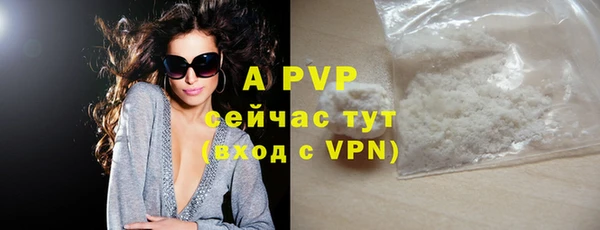 шишки Бердск