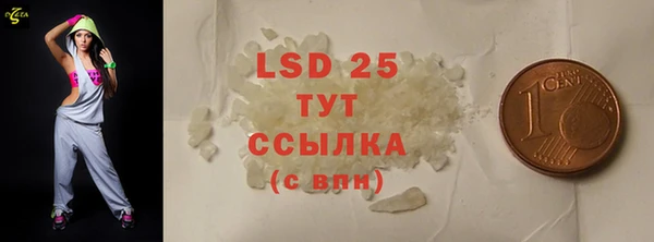 шишки Бердск