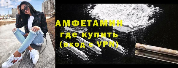 шишки Бердск