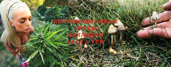 шишки Бердск