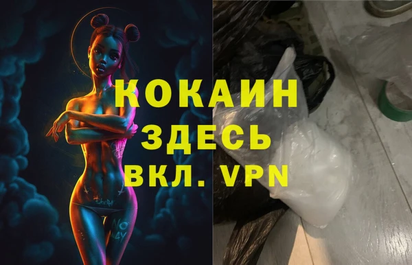 шишки Бердск