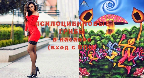 шишки Бердск