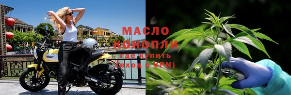 шишки Бердск