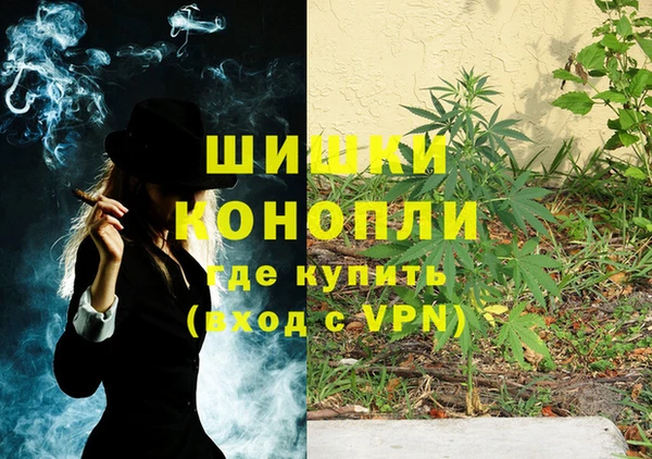 шишки Бердск