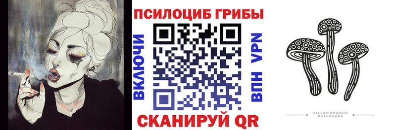 Псилоцибиновые грибы Psilocybe  площадка Telegram  Ардон 